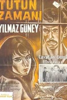 Tütün Zamanı – 1959 Yılmaz Güney